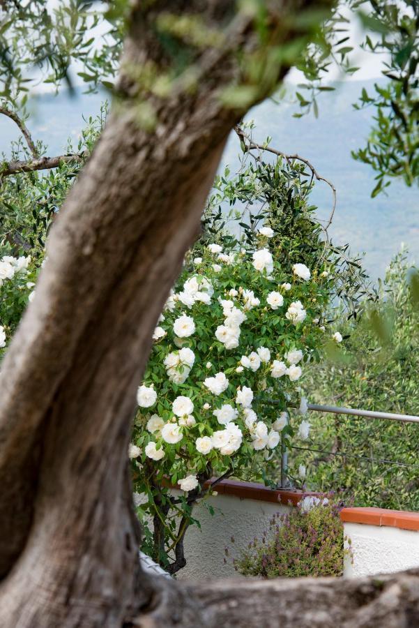 Villa Annetta Poggi Exterior foto